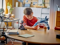 Конструктор LEGO Super Heroes Мстители: Эра Альтрона Квинджет (76325)