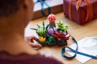 Конструктор LEGO Botanicals Сукуленти (10309)