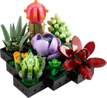 Конструктор LEGO Botanicals Сукуленти (10309) 