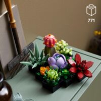 Конструктор LEGO Botanicals Сукуленти (10309)