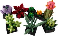 Конструктор LEGO Botanicals Сукуленти (10309)