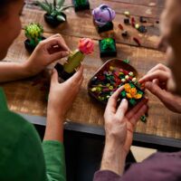 Конструктор LEGO Botanicals Сукуленти (10309)