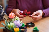 Конструктор LEGO Botanicals Сукуленти (10309)