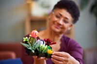 Конструктор LEGO Botanicals Сукуленти (10309)