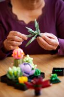 Конструктор LEGO Botanicals Сукуленти (10309)