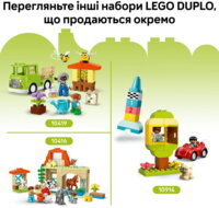 Конструктор LEGO DUPLO Town Творчий сад и цветы (10444)