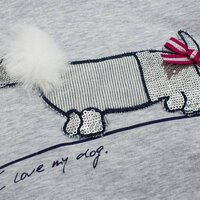 Сірий реглан iDO з аплікацією "Такса" для дівчинки 3 років (4.V618.00/8992)