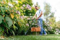 Тример садовий Bosch EasyGrassCut 26 (0.600.8C1.J01)
