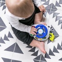 Іграшка музична Baby Einstein Driving Tunes (10047)