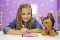 Іграшковий набір Rescue Runts Врятуй друга Йорк (S19011) 