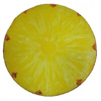 Подушка Toyko Ананас 38х7 см (p-102m) 