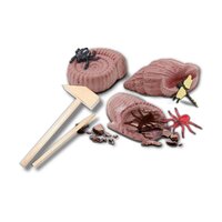 Набір SES Creative серії Дослідник Розкопки скам'янілих комах (25066S)