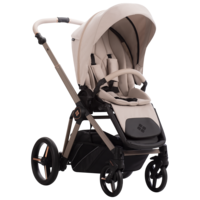 Коляска 2 в 1 Bebetto Monti 05 Kashmir (503.44.25.K02)