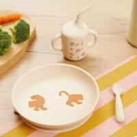 Набор детской посуды Babymoov Meal Box Little Roar (A005409)
