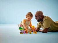 Конструктор LEGO DUPLO Disney День рождения Винни Пуха (10457)