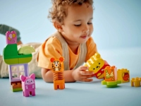 Конструктор LEGO DUPLO Disney День рождения Винни Пуха (10457)