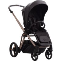 Коляска 2 в 1 Bebetto Monti PRO 01 Kashmir, чорний (503.45.25.K01)