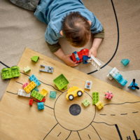 Конструктор LEGO DUPLO Творческие транспортные средства (10474)