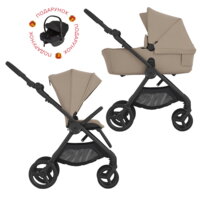 Універсальна коляска 2 в 1 Anex iQ Basic Honey (iq-24) 