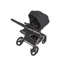 Дитяча коляска 2в1 Anex Flo Solo (fl-01f)