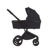 Дитяча коляска 2в1 Anex Flo Lungo (fl-05f) 