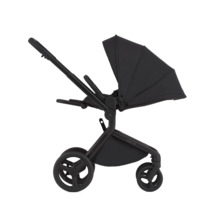 Дитяча коляска 2в1 Anex Flo Lungo (fl-05f)