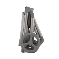 Детская коляска 2в1 Anex Flo Frossy (fl-06f)