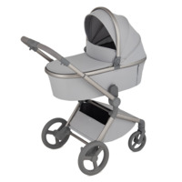 Детская коляска 2в1 Anex Flo Frossy (fl-06f)