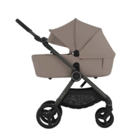 Універсальна коляска 2 в 1 Anex iQ Basic Linen (iq-18)