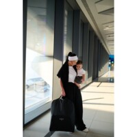 Сумка для колясок Anex Air-Z Carry bag (Az/Ac c01)