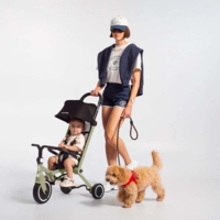 Коляска-велосипед smarTrike Wonder Olive (5800500)
