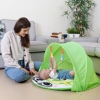 Ігровий килимок 2 в 1 Chicco "Лісові пригоди" (12344.00)