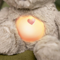 Мягкая музыкальная игрушка Ingenuity "Sylvi" (17308.000)