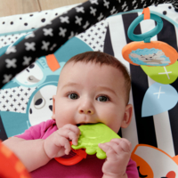 Килимок-ігровий центр 3-в-1 Fisher-Price Веселі розваги (JMN72)