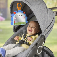 Портативное зеркальце 2-в-1 Fisher-Price для малыша (JHB45)