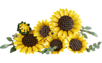 Конструктор LEGO Botanicals Букет соняшників (11502)
