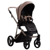 Універсальна коляска 2в1 Bebetto Pelpasso PRO 01 Kashmir (503.43.25.K01)