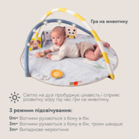 Музичний килимок з дугами, що розвиває, Taf Toys Сонячні ноти (13495)