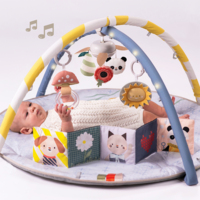 Музичний килимок з дугами, що розвиває, Taf Toys Сонячні ноти (13495)