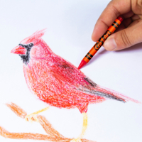 Набір для творчості Cra-Z-Art 80 предметів (11007CRA)