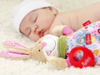 М'яка музична іграшка Sigikid Заєць, 23 см (40109SK)