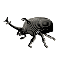 3D пазл Eugy Зоопарк Жук-носоріг (XEG-113) 