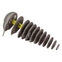 3D пазл Eugy Зоопарк Ківі (XEG-001)