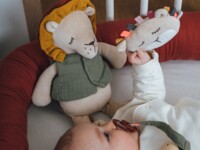 Мягкая игрушка Лев, Kikadu (18926)