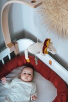 Подвесная музыкальная игрушка Лев, Kikadu (19961)