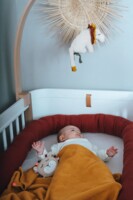 Подвесная музыкальная игрушка Лев, Kikadu (19961)