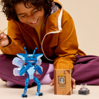 Конструктор LEGO Harry Potter Корнуэльские пикси (76461)