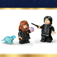 Конструктор LEGO Harry Potter Котел: Таємний клас зіллєваріння (76464)