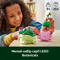 Конструктор LEGO Botanicals Rocking Plants (11506)