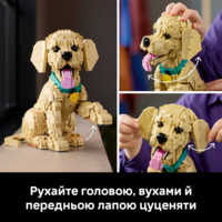 Конструктор LEGO Icons Цуценя золотистого ретривера (11384)